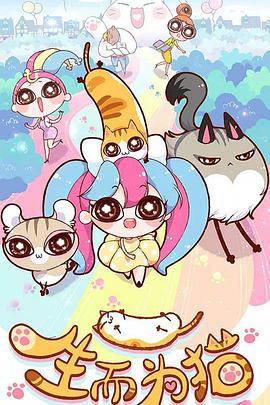 沈阳企业seo优化排名价格